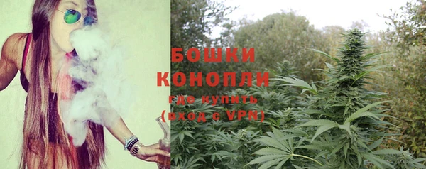 шишки Алзамай