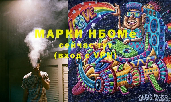 шишки Алзамай