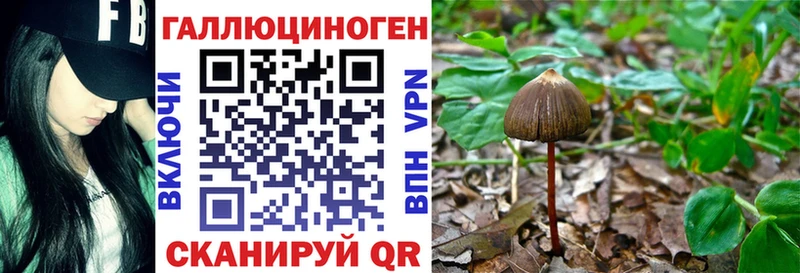 Галлюциногенные грибы MAGIC MUSHROOMS  хочу наркоту  Подольск 